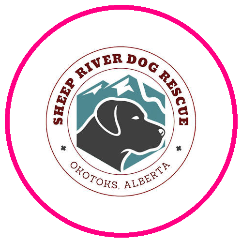 Sheep River Dog Rescue