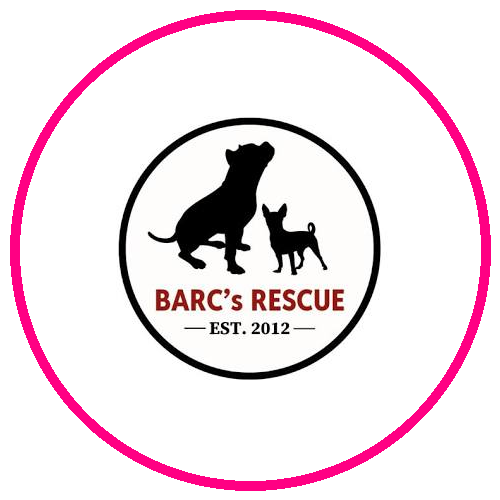 BARC's Rescue