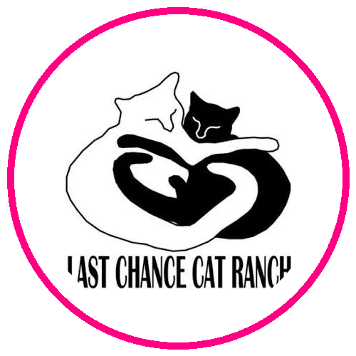 Last Chance Cat Ranch