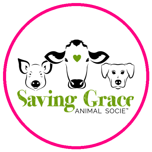 Saving Grace Animal Society