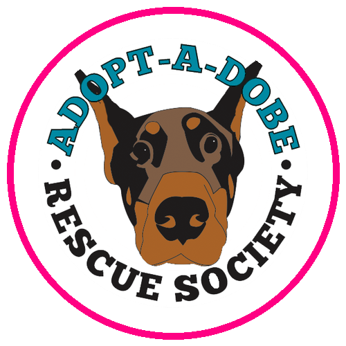 Adopt a Dobe