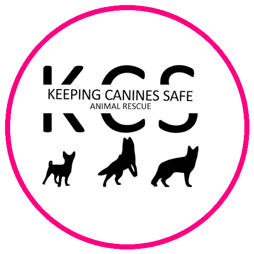KCS Animal Rescue