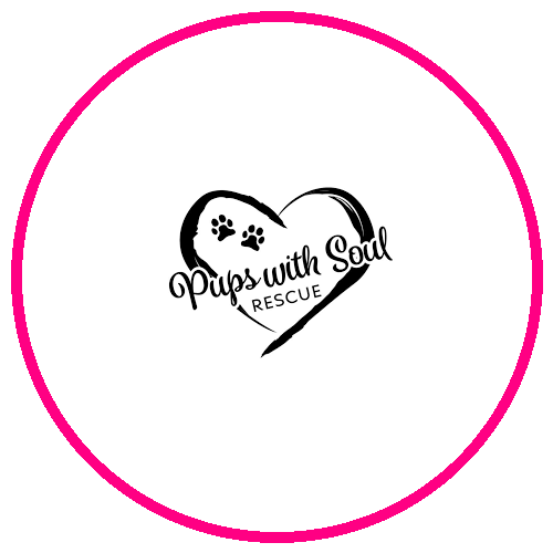 Pups with Soul Rescue