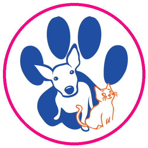 Pawsitive Match Rescue Foundation