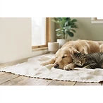 Social Cover Banner