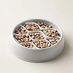 Pet Anti-Choking Dog Bowl
