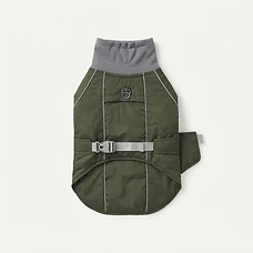 Pet dog coat