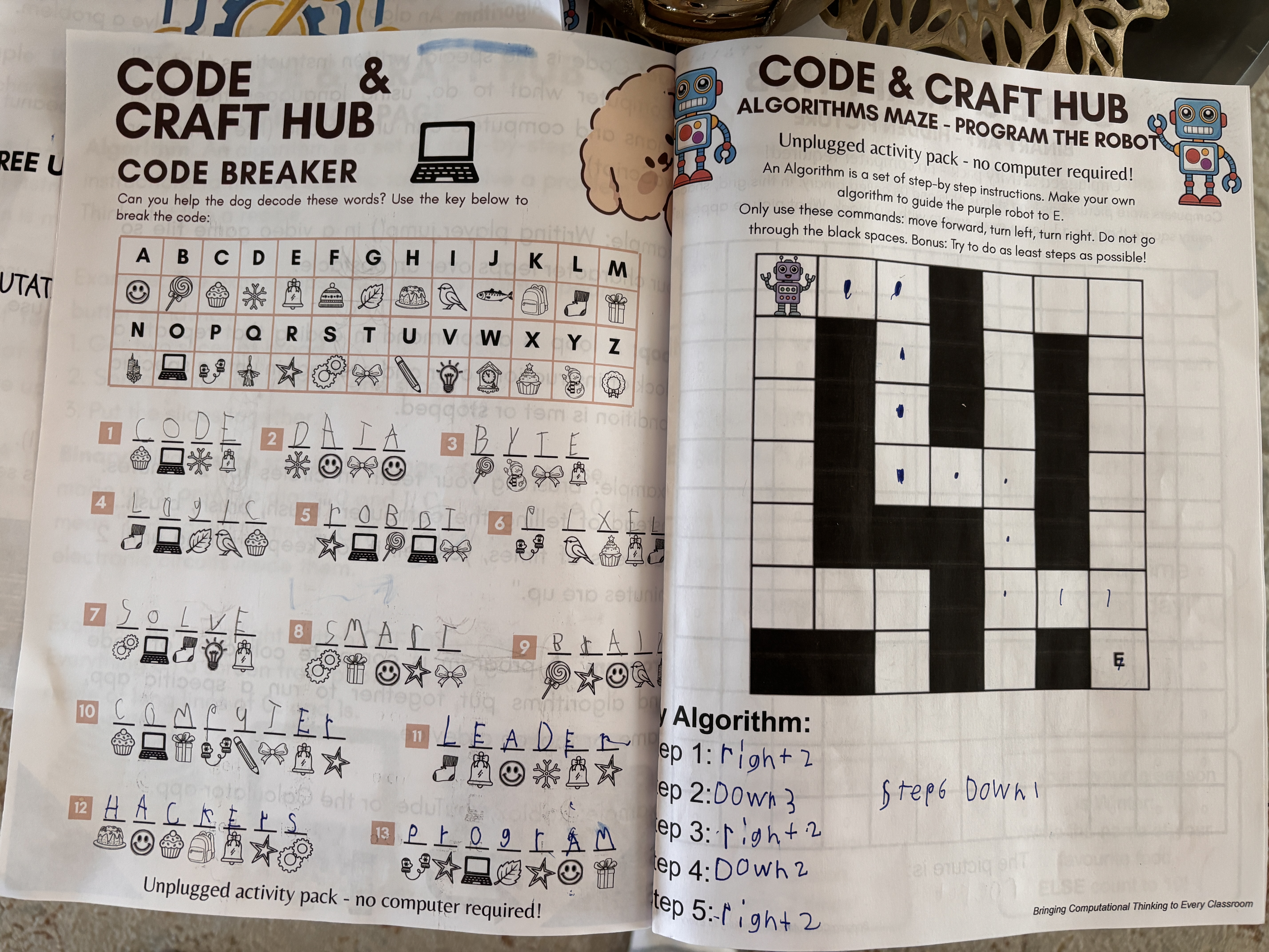 Code Breaker & Algorithms Maze