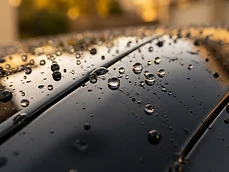 Ceramic-Infused Paint Sealant