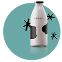 KITI Portfolio