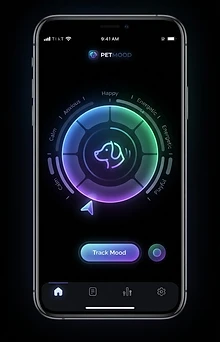 Voice Mode