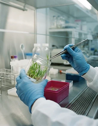 Laboratorio de evaluación de especies