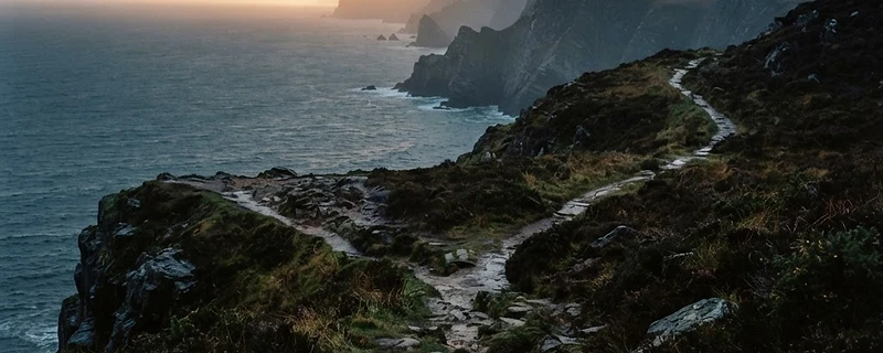 A coastal trail splitting into two paths at dawn