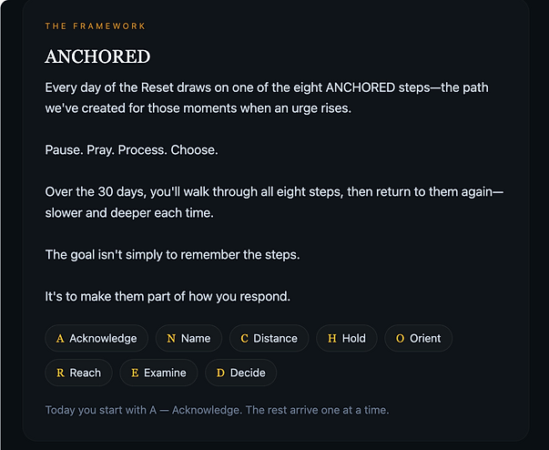 The eight ANCHORED steps