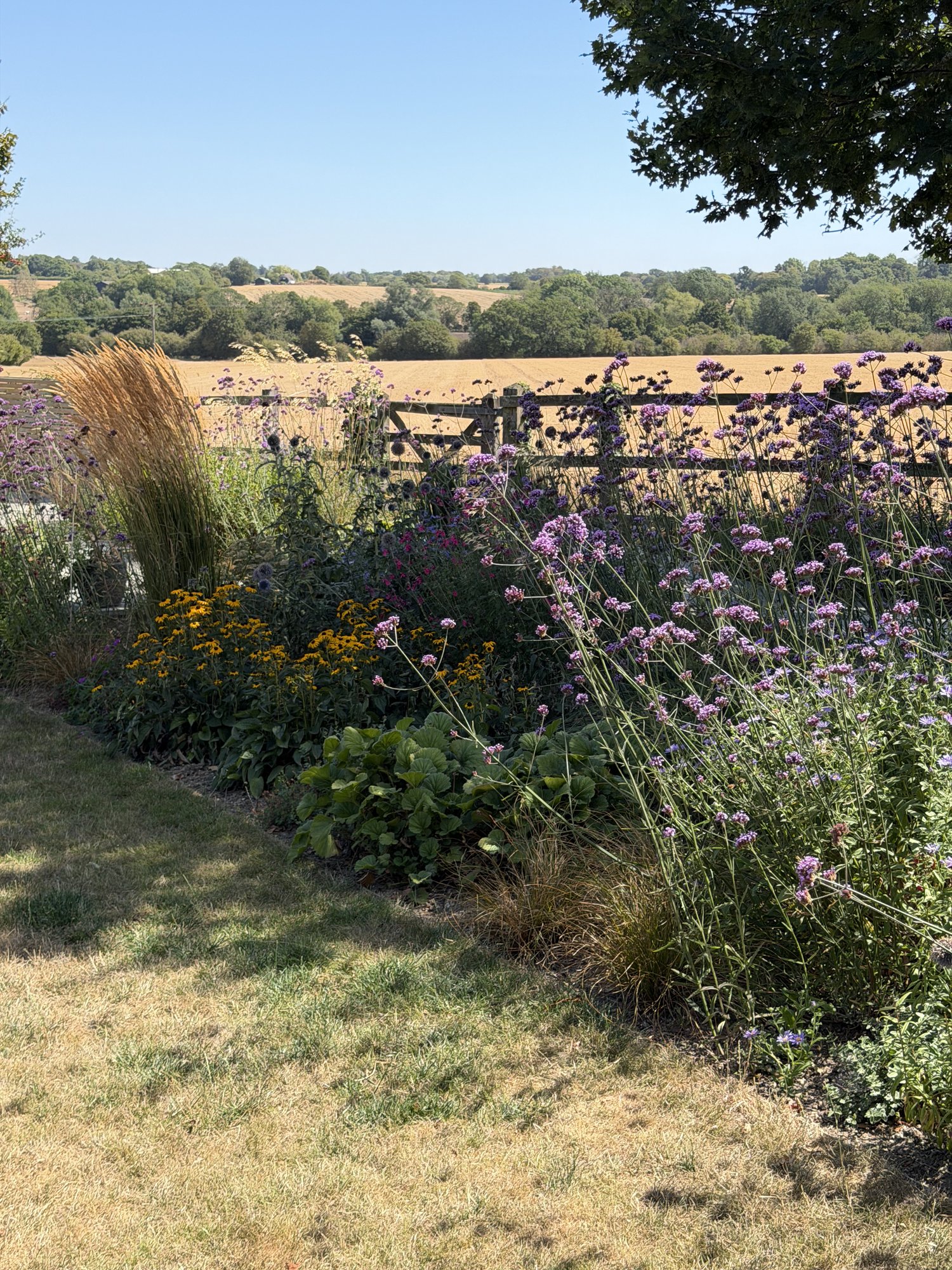 Prairie-style border and post fence