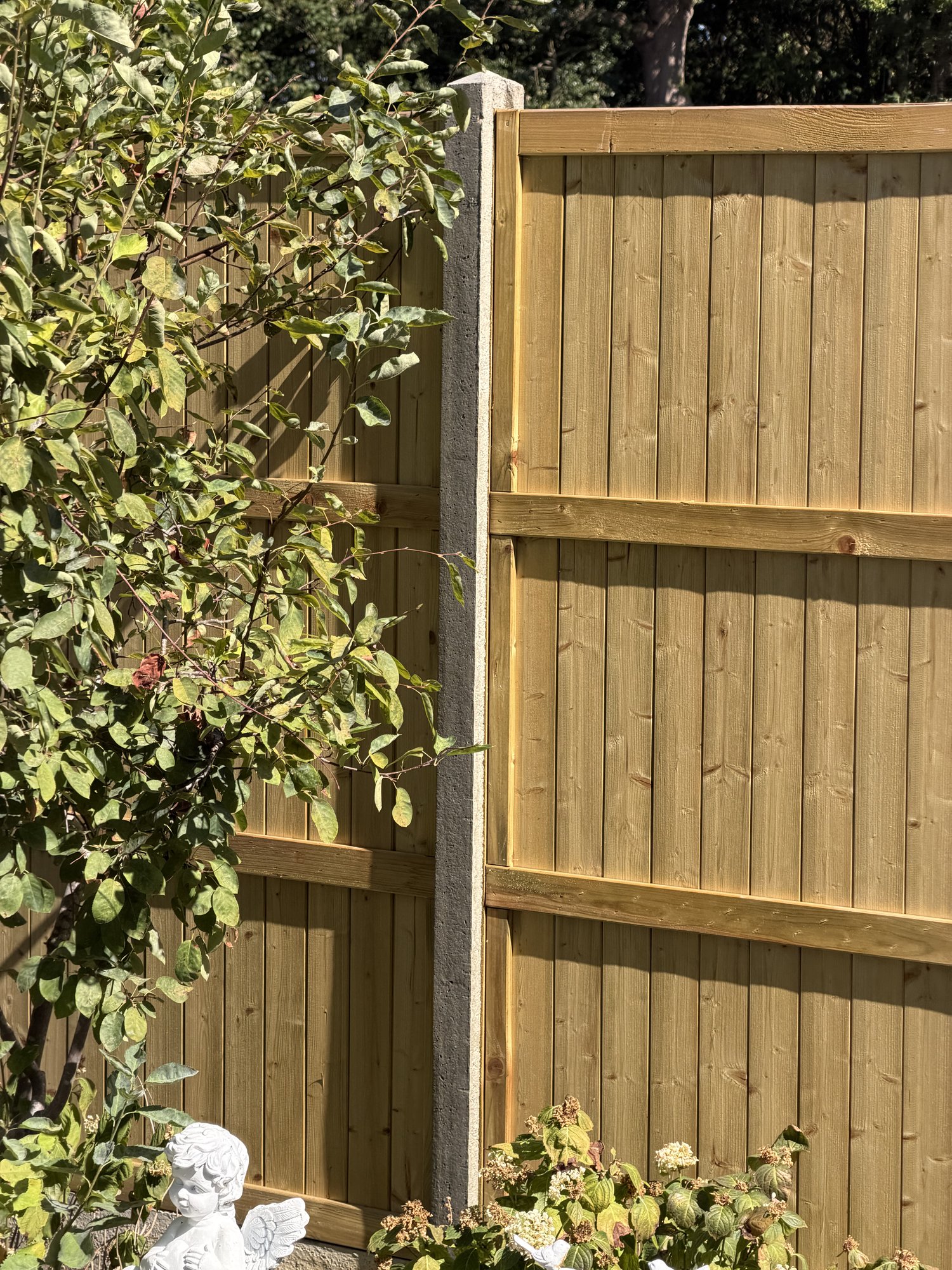 Fence panel and planting