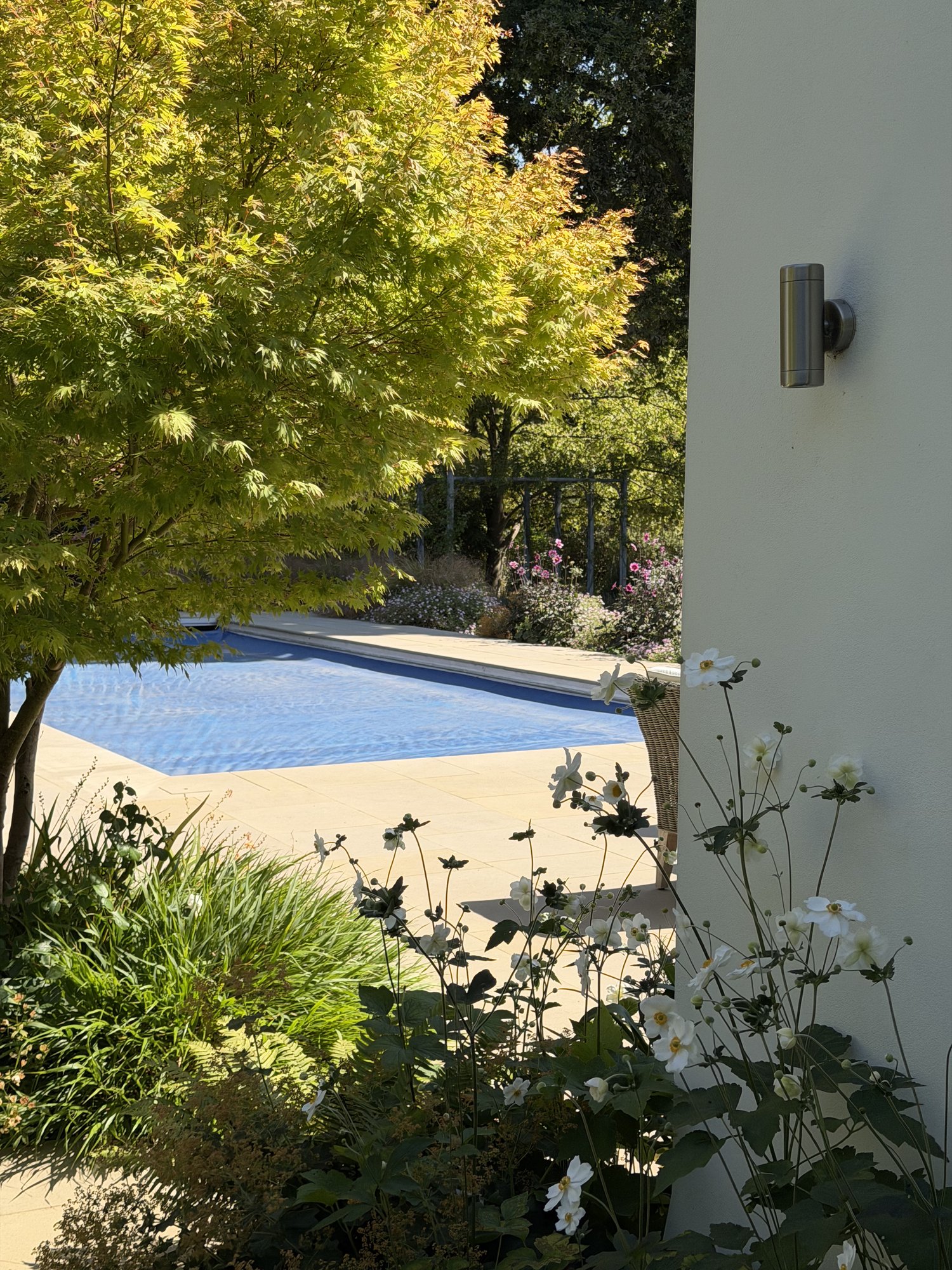 Pool terrace and planting beyond the water garden