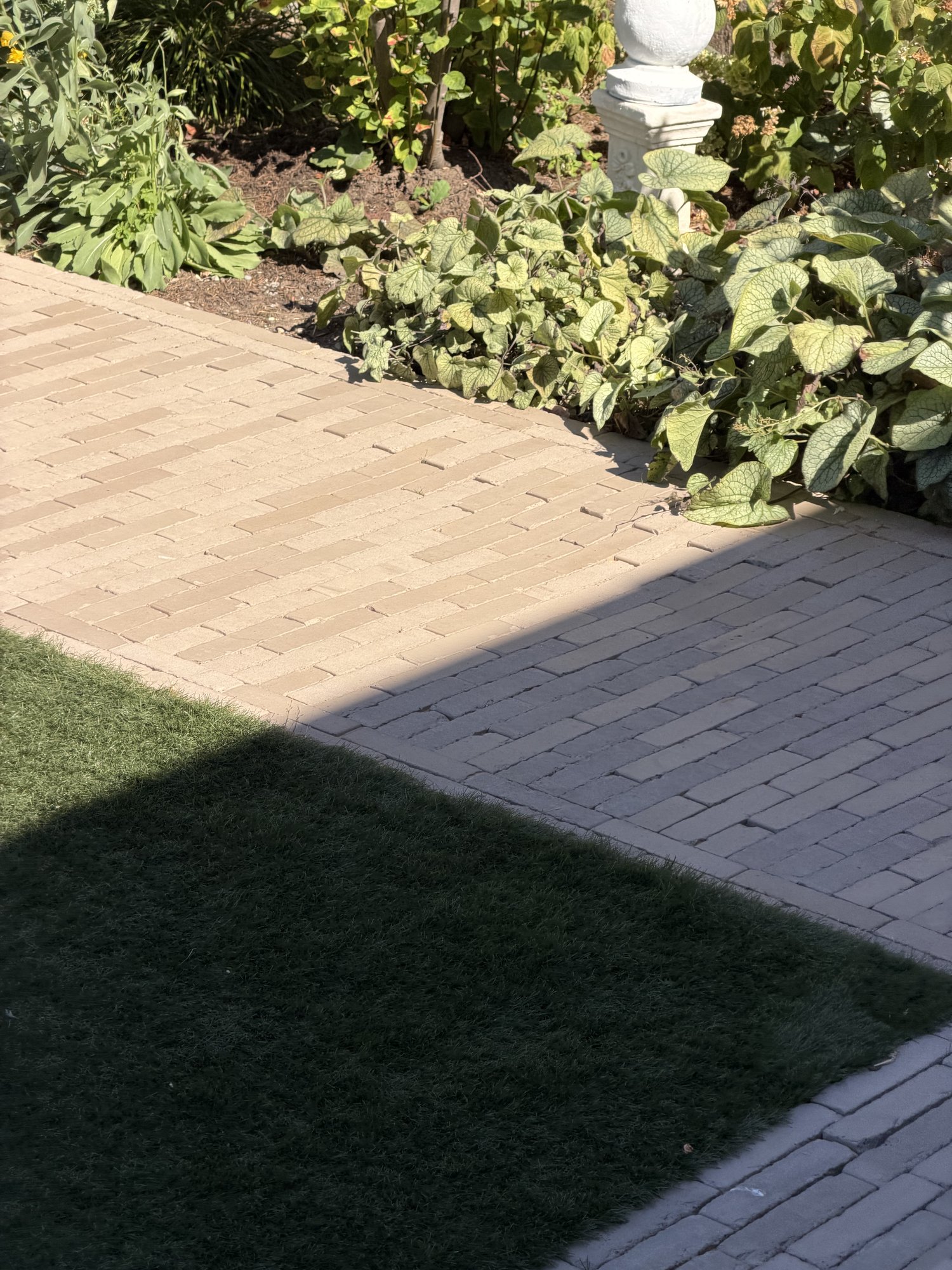 Path, lawn edge and border