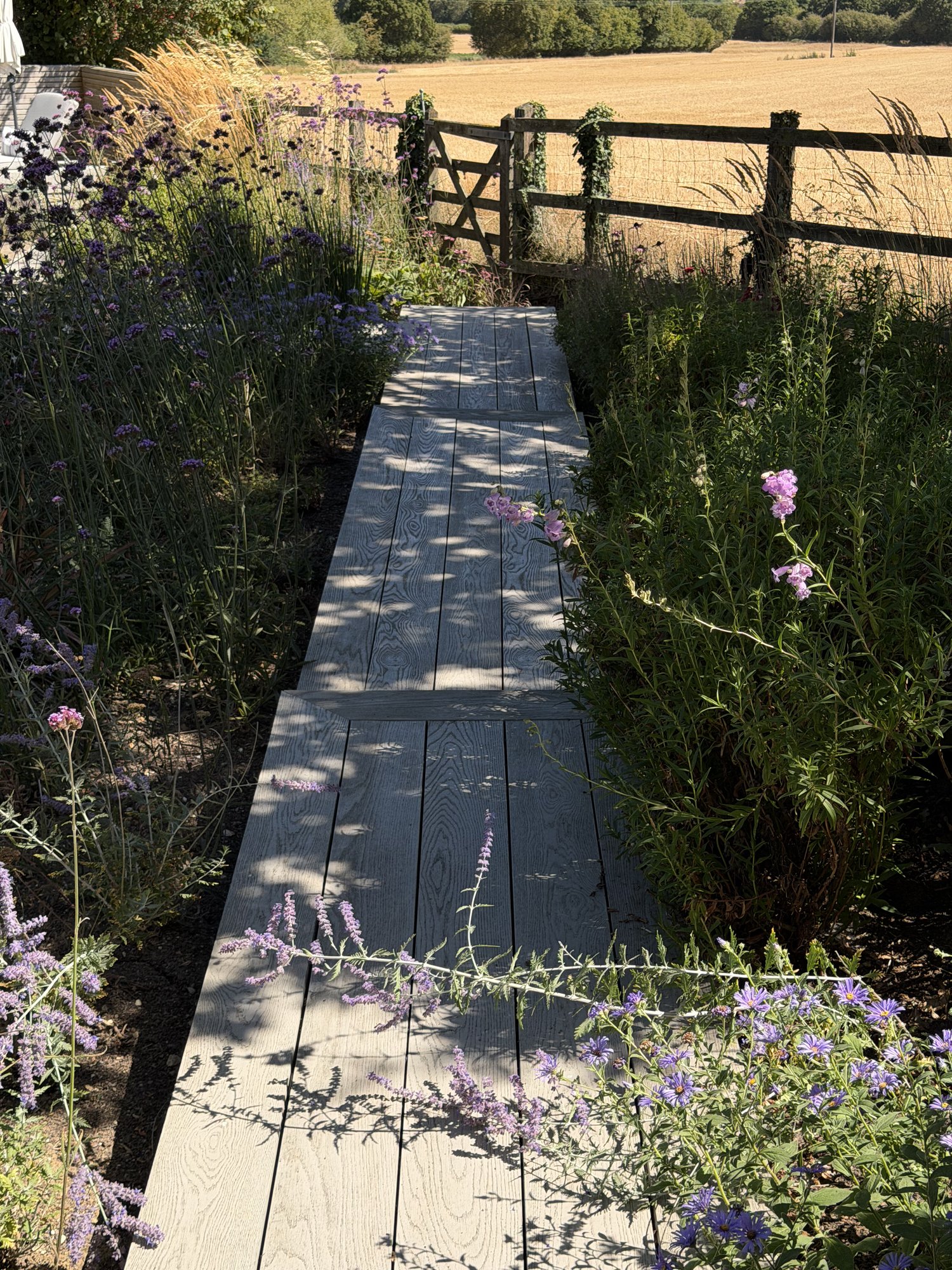 Deck walkway through the borders