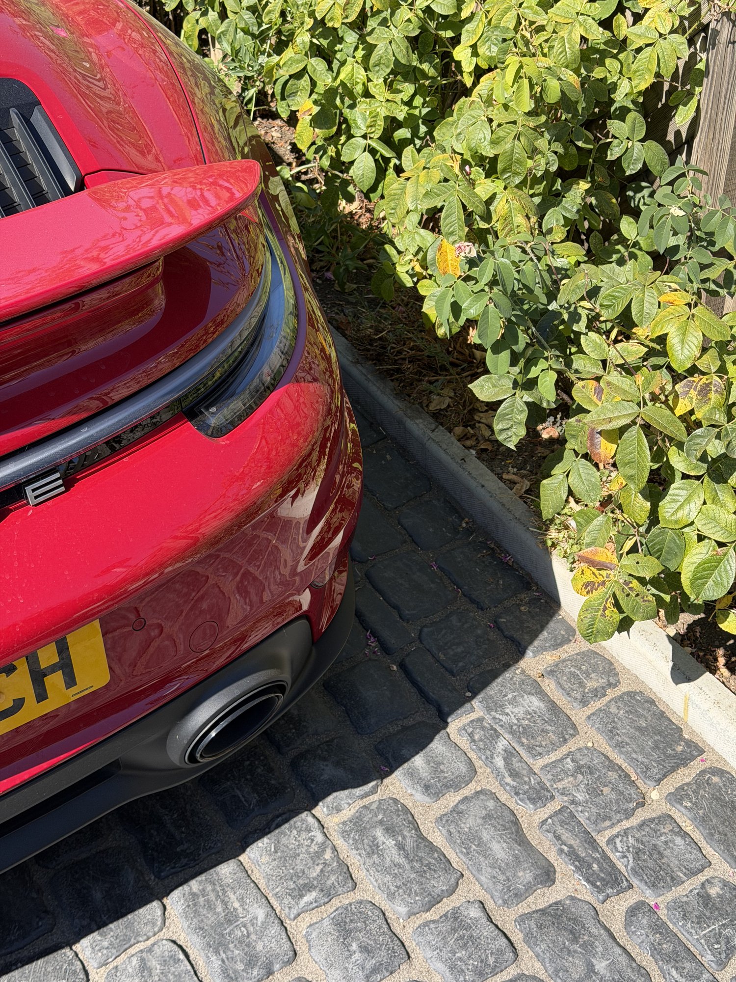 Planting softening the drive