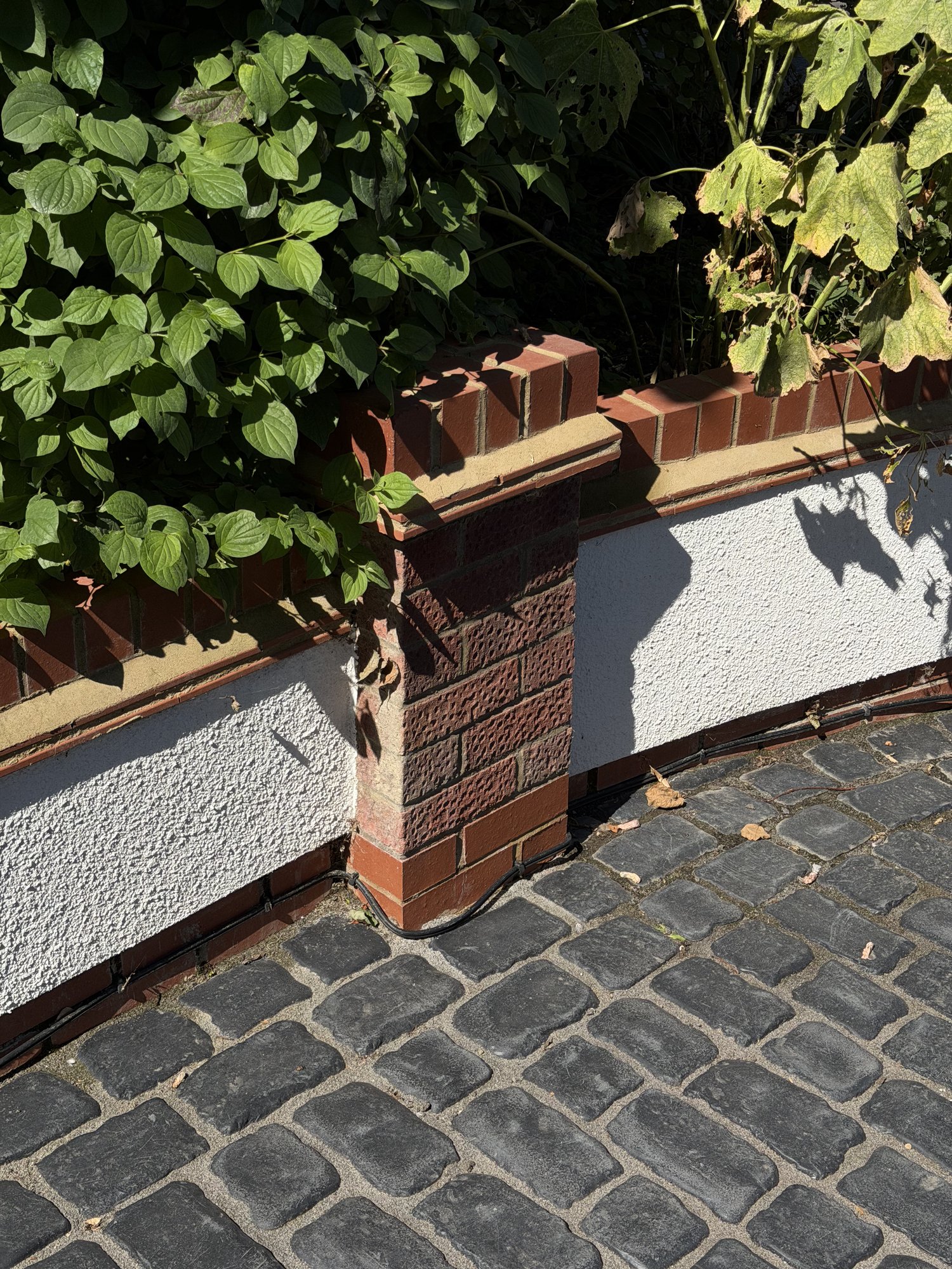 Wall, cobblestones and planting