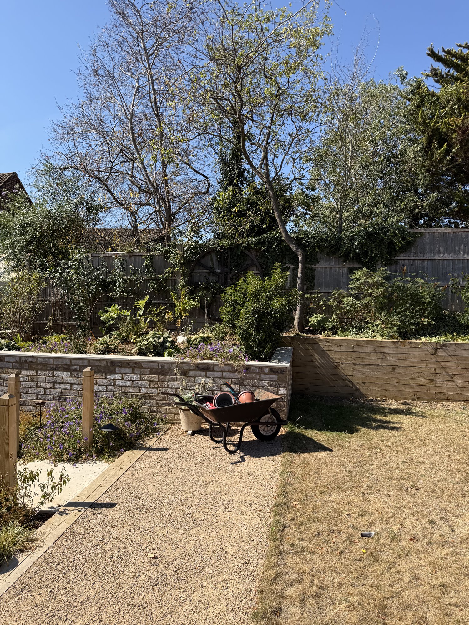 Gravel and mature planting