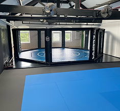 Inside the AVT cage