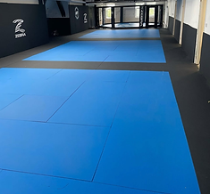 The AVT mat space and cage