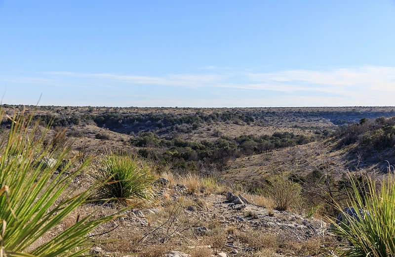 Texas ranch landscape