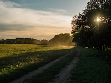 Texas ranch at sunset