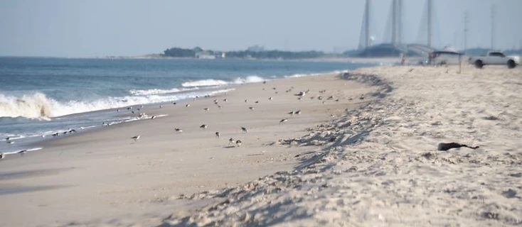 Wide Delaware beach scene near Indian River Inlet