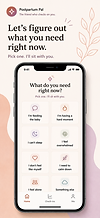 Postpartum Pal asks what you need right now