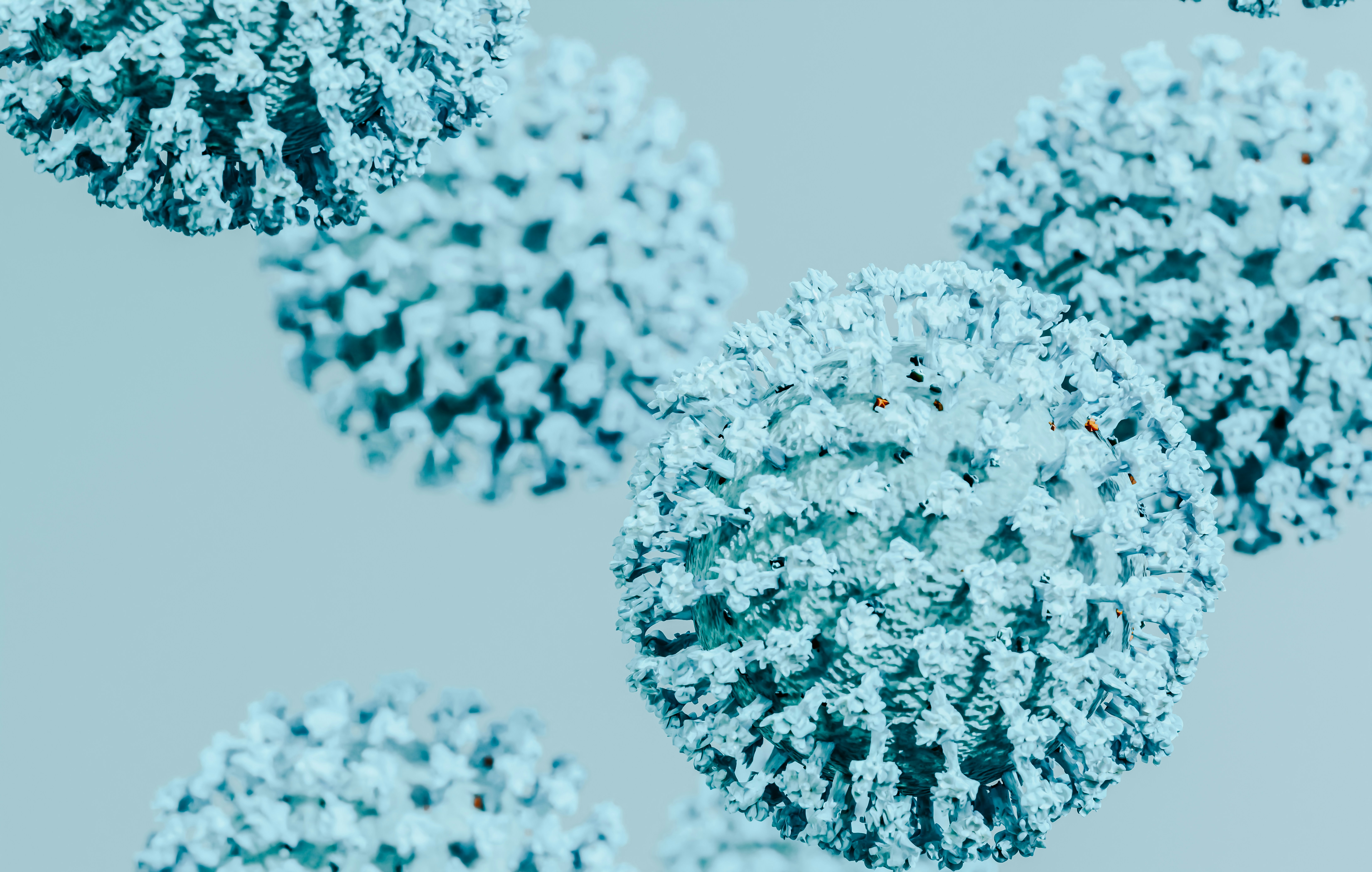 Several spherical structures with textured surfaces and short branch-like protrusions floating against a muted blue-grey background, one prominent in the foreground