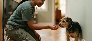 Barking Cat Pet Care