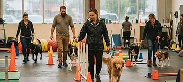Almosta Ranch K9 Learning Center