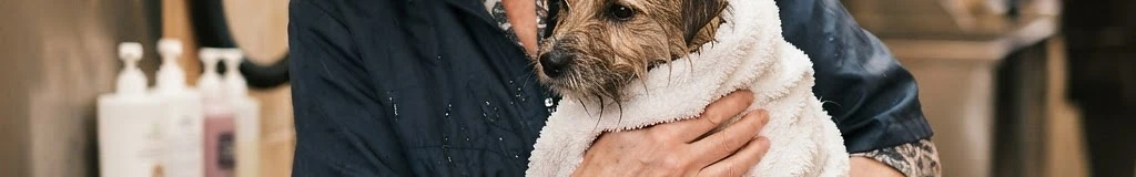 Dazzling Dogs Mobile Salon