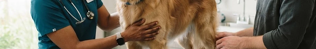 Billerica Veterinary Hospital