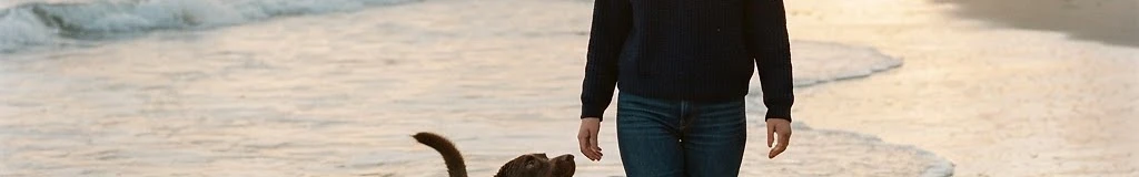 Labrador Retriever Club, Inc.