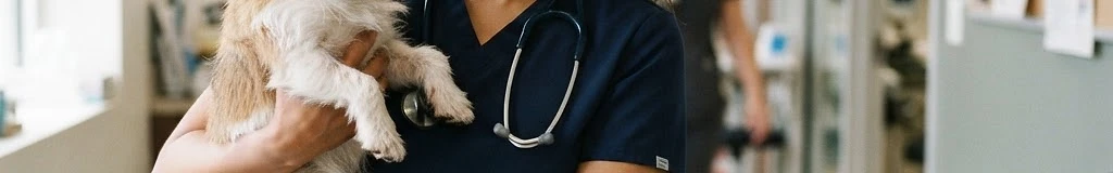 Animal Clinic of Billerica