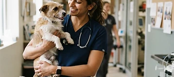 Animal Clinic of Billerica