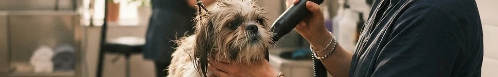 Dogfather Grooming