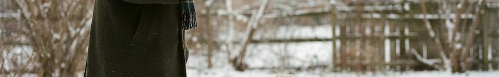 Cold Nose Companion Dog Training