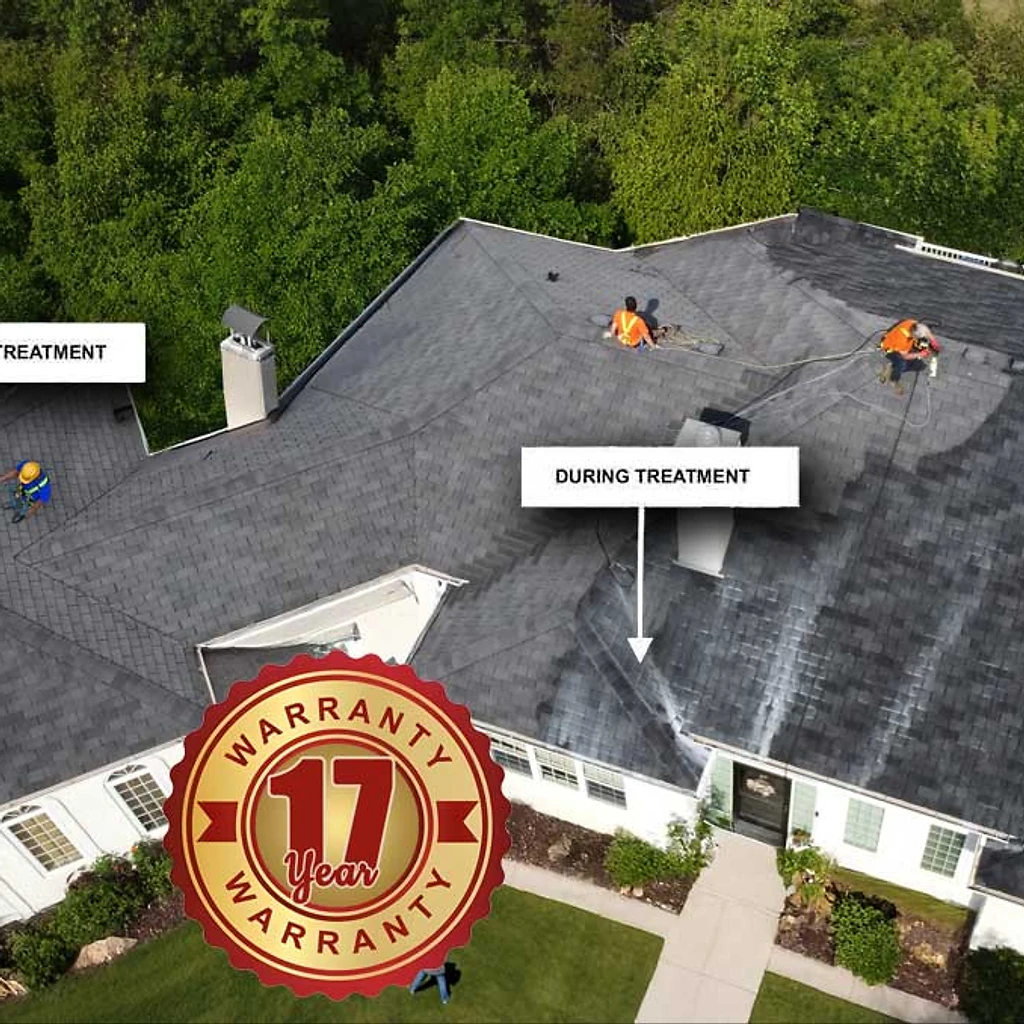 Before, during, and after roof treatment