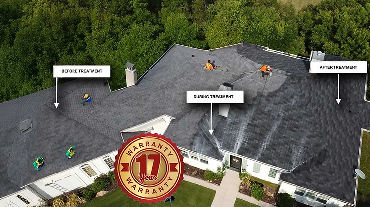 Before, during, and after roof treatment