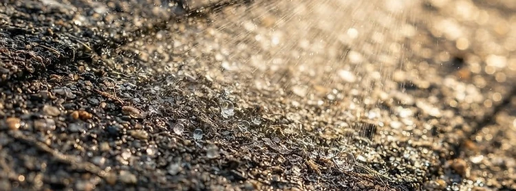 Asphalt shingle being treated with restorative spray