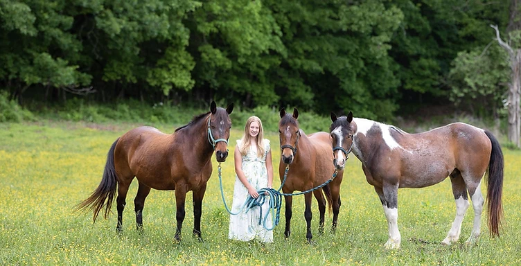 Michelle Honeycutt Photography — The Lead — Three Horses