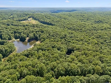 Aerial view of the Honeycutt Hollow property and forest