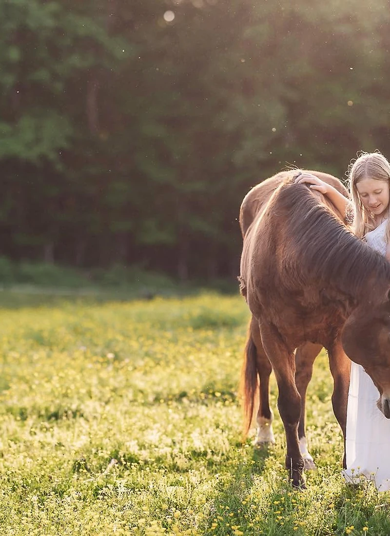 Michelle Honeycutt Photography
