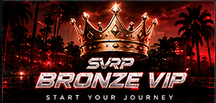 Bronze VIP