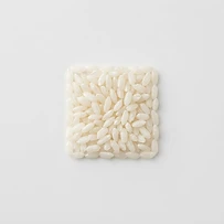 arborio rice
